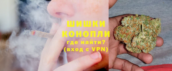 PSILOCYBIN Белокуриха